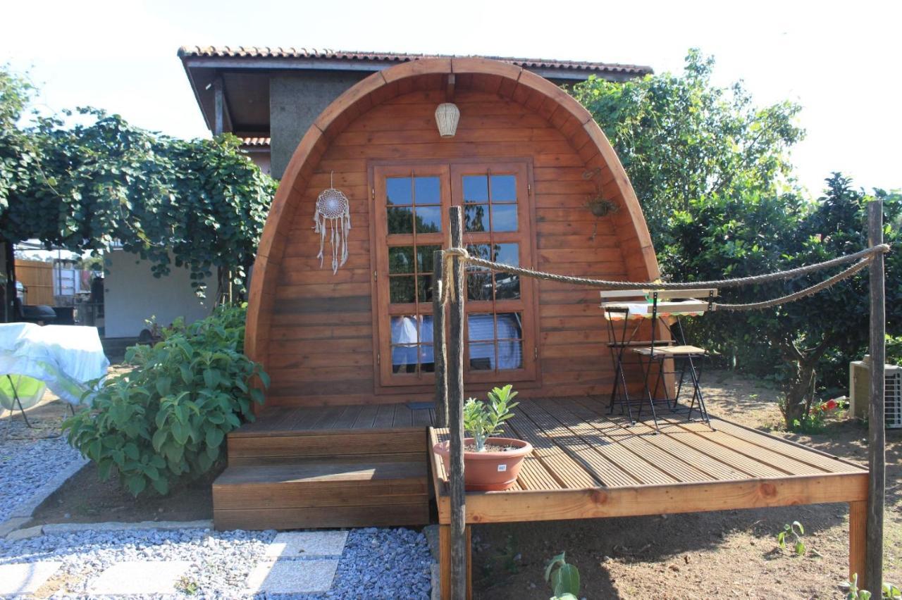 Casa Da Avo Miquinhas Hotel Pacos de Ferreira Bagian luar foto